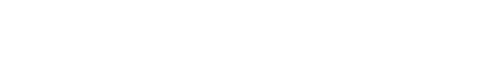 Xentian Group logo